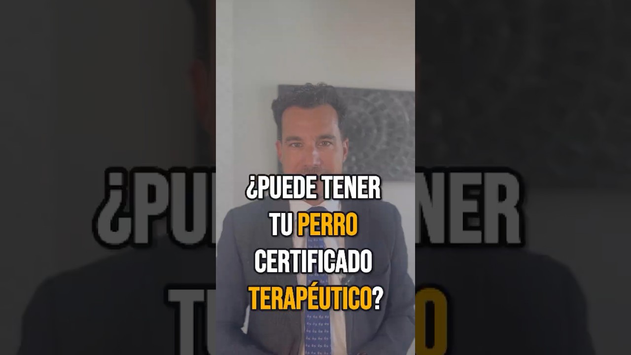 Video clip 2