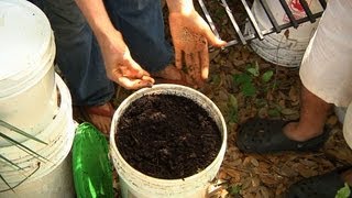 preview picture of video 'Permaculture Paradise:  Vermiculture with Val and Eli!'