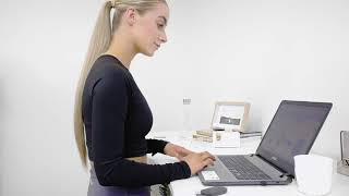 Lifespan Fitness ErgoDesk Automatic Standing Desk