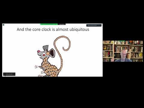 Michael Rosbash, Ph.D. -- GoldLab Symposium 2021 -- DAY ONE   5/13/2021