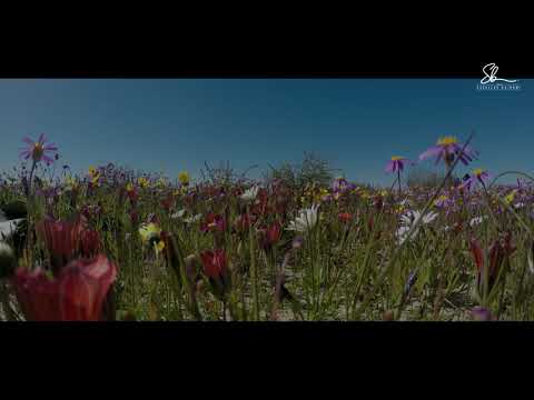 Cilat janë shenjat e pranimit të pendimit? - Hoxhë Sadullah Bajrami