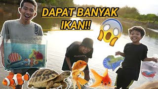 Download lagu BERBURU IKAN CUPANG GALAXY, IKAN HIAS DAN KURA KURA DIPENGAIRAN, BOCIL DAPET BANYAK! | Mikael TubeHD mp3 Download lagu BERBURU IKAN CUPANG GALAXY, IKAN HIAS DAN KURA KURA DIPENGAIRAN, BOCIL DAPET BANYAK! | Mikael TubeHD mp3