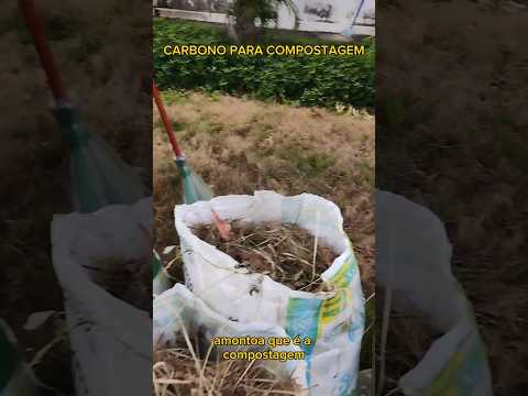 Carbono para compostagem