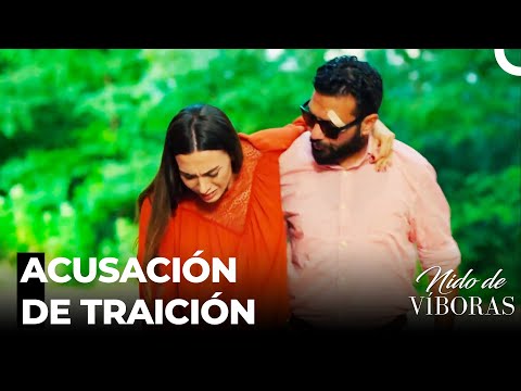 Las Trampas Tendidas Para Nagme - Nido De Víboras