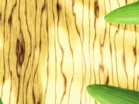 Hannu af Ursin - Garden [Nokia downloadable video ringtone]