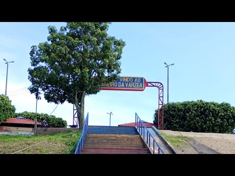 Bem vindos a vila do careiro  amazonas