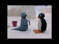 Robby S Fin Hurt Pingu