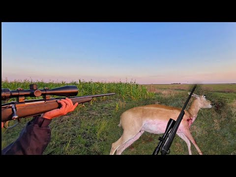 HUNTING, FISHING AND COOKING, THE ANTELOPE 🦌