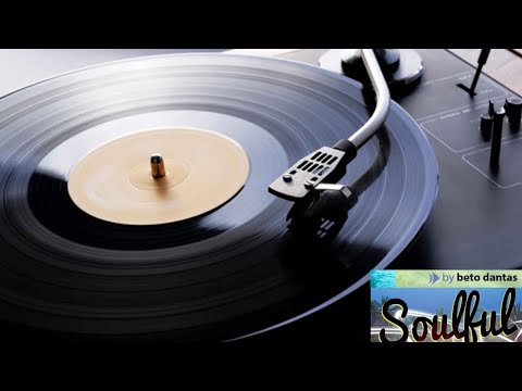 The Shapeshifters Album The  Let Loose Vinil By Beto Dantas