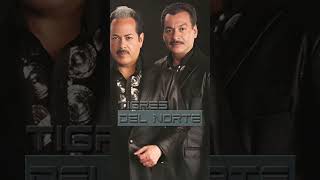 Tigres del Norte, CAMISA MOJADA #norteñasycorridos