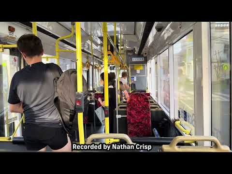 Transit Systems NSW m/o 3811 - Scania L113CRL/Ansair Orana