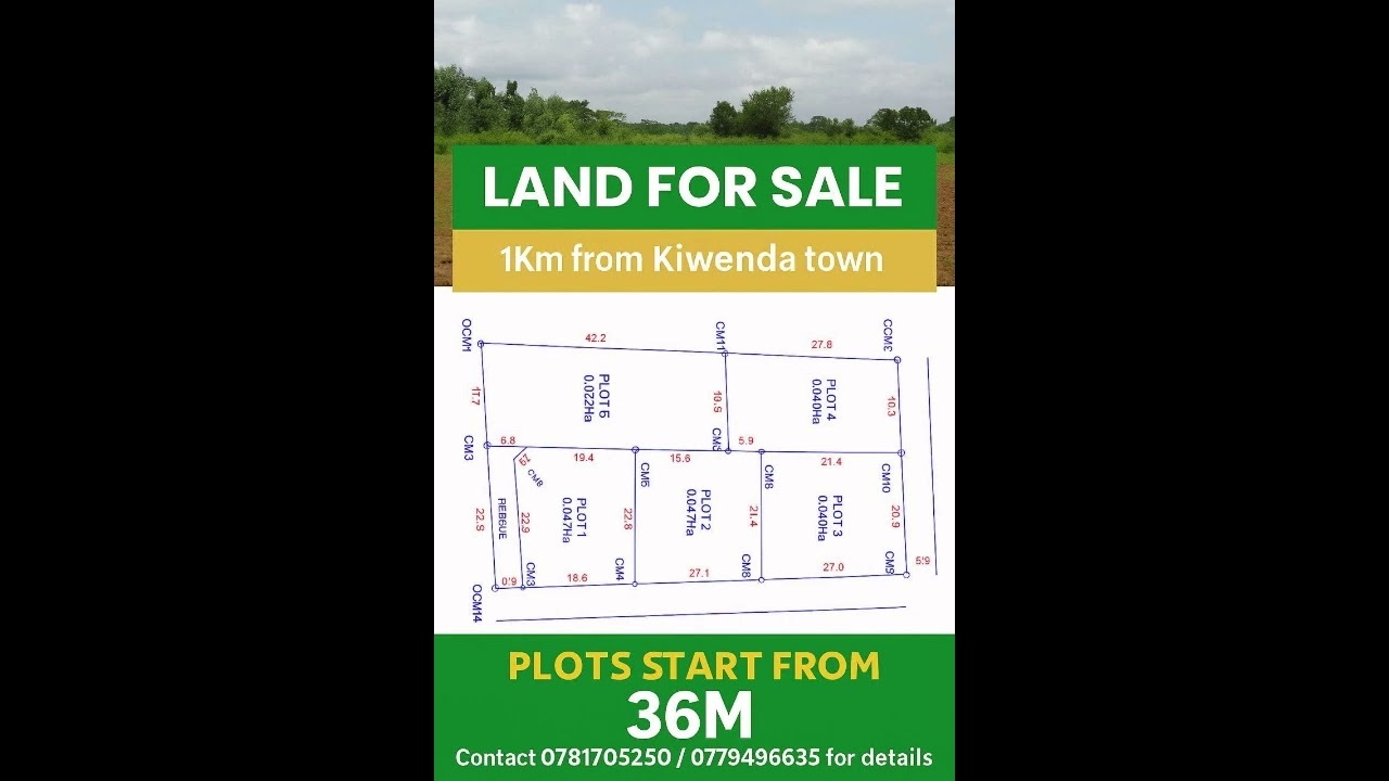 Prime Land for Sale in Kiwenda  1km from Town - Video Thumbnail