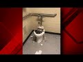 Fireworks Set Off In Park Bathroom Leave Damaged Toilets