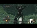 Frog Boss Fight Dark Souls 2