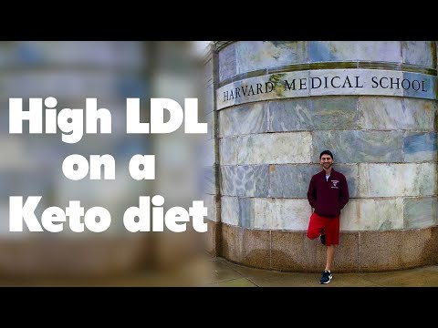 High LDL on a Keto Diet. Should You Worry? | Nick Norwitz & Dave Feldman