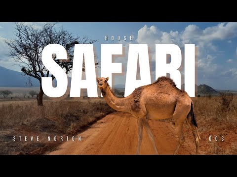SAFARI 003 - House ( Steve Norton )