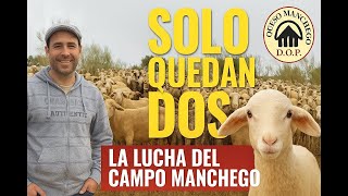 The story of the rancher who keeps La Mancha alive | Milk, cheese, and rural sacrifice