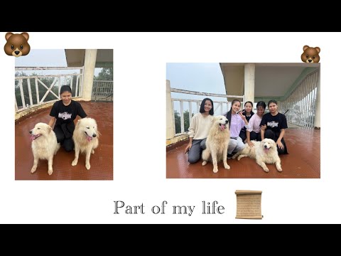 Part of my life// Cheiraoching// Manipur// Shaili vlog🌟//