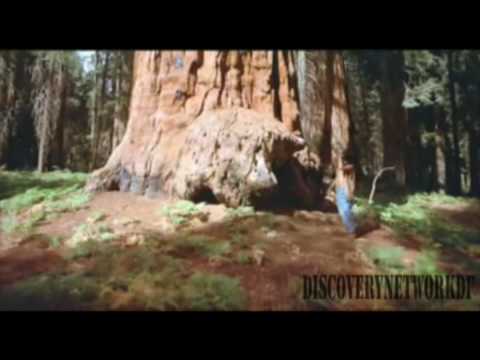 Bamboo -  Ya no debo pensar [HD]