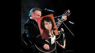 Neil Diamond   -   Guitar heaven
