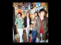 Wolf Parade-Language City