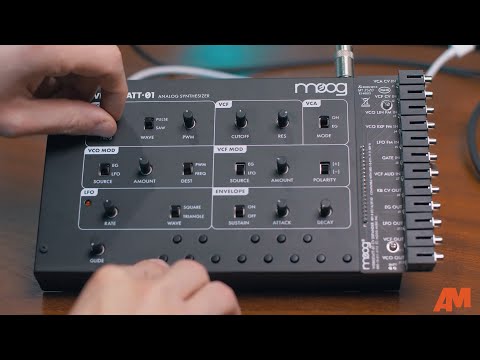 Moog Werkstatt-EXP-01 Analog Synthesizer Kit image 7