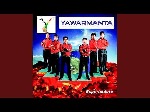 Como No Te Voy a Querer