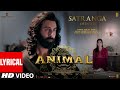 ANIMAL: Evarevaro (Lyrical Video) - Ranbir Kapoor,Tripti Dimri | Sandeep V | Vishal M | Bhushan K