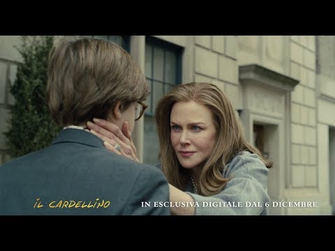 Il Cardellino
