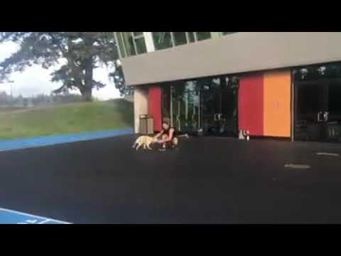 Guide Dog vs 40 Yard Dash | NFL Eat Your Heart Out