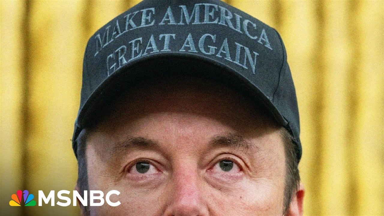 Musk ‘most important person in the room’, not Trump: Steele slams first cabinet meeting