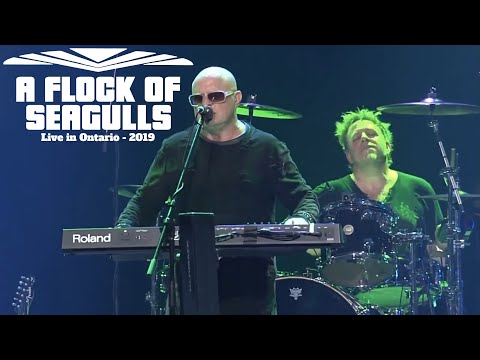 A Flock Of Seagulls - Space Age Love Song - Live in Ontario 2019 Video HD