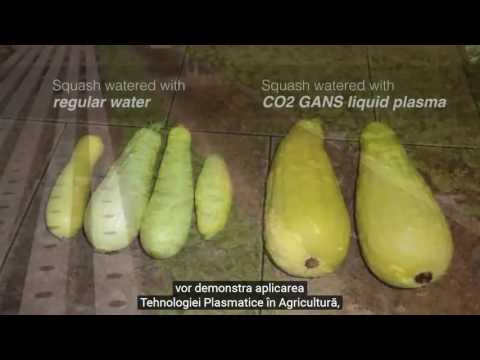 2017 03 22 PM Public Teaching in Romanian - Cursuri publice în română