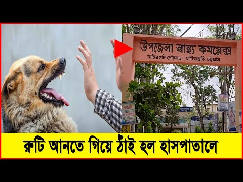 ফটিকছড়ি দাপিয়ে বেড়াচ্ছে পাগলা কুকুর, যাকে পাচ্ছে তাকেই কামড়াচ্ছে | Cplus