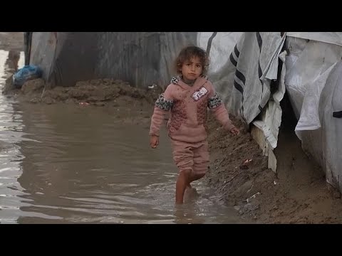 Gaza ceasefire brings respite but living conditions remain disastrous