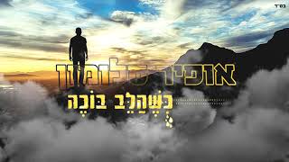 אופיר סלומון - כשהלב בוכה | Ofir Salomon - when the heart Cries