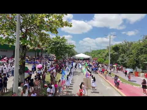 7 de Setembro o Desfile em Palmares-PE