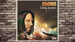 Common - Misunderstood [INSTRUMENTAL] | CDQ | Remastered