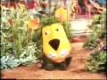 Parsley Lion The Herbs 70 S