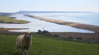 OVE / Come Back To You - Saint Raymond