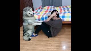 これなら続けられそう #shorts