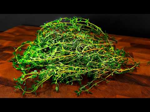 Bakteri öldürücü! Ölüm bağırsakta başlar! Bu bitkiyi tüketirseniz, bağırsaklarınızı temizler.