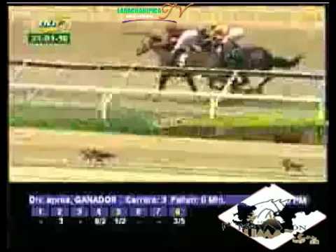 LA RINCONADA 3 CARRERA, DOMINGO 31 DE ENERO DEL 2016