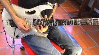 Steve Vai - Tender Surrender (by Francisco Tomás)