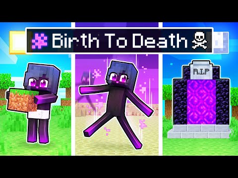 The BIRTH To DEATH of an ENDERMAN In Minecraft!