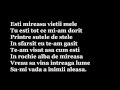 Ovidu Komornic - Esti mireasa vietii mele [versuri ...