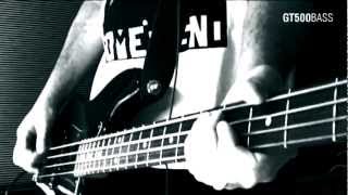 Bass Cover: New Model Army - 225