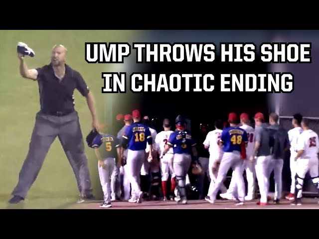 Both teams chase umpire off the field, a breakdown