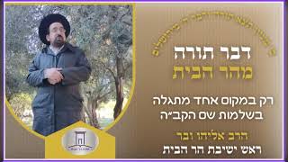 רק במקום אחד מתגלה בשלמות שם הקב״ה | הרב אליהו ובר (ישיבת הר הבית) - התמונה מוצגת ישירות מתוך אתר האינטרנט יוטיוב. זכויות היוצרים בתמונה שייכות ליוצרה. קישור קרדיט למקור התוכן נמצא בתוך דף הסרטון רק במקום אחד מתגלה בשלמות שם הקב״ה | הרב אליהו ובר (ישיבת הר הבית) - התמונה מוצגת ישירות מתוך אתר האינטרנט יוטיוב. זכויות היוצרים בתמונה שייכות ליוצרה. קישור קרדיט למקור התוכן נמצא בתוך דף הסרטון