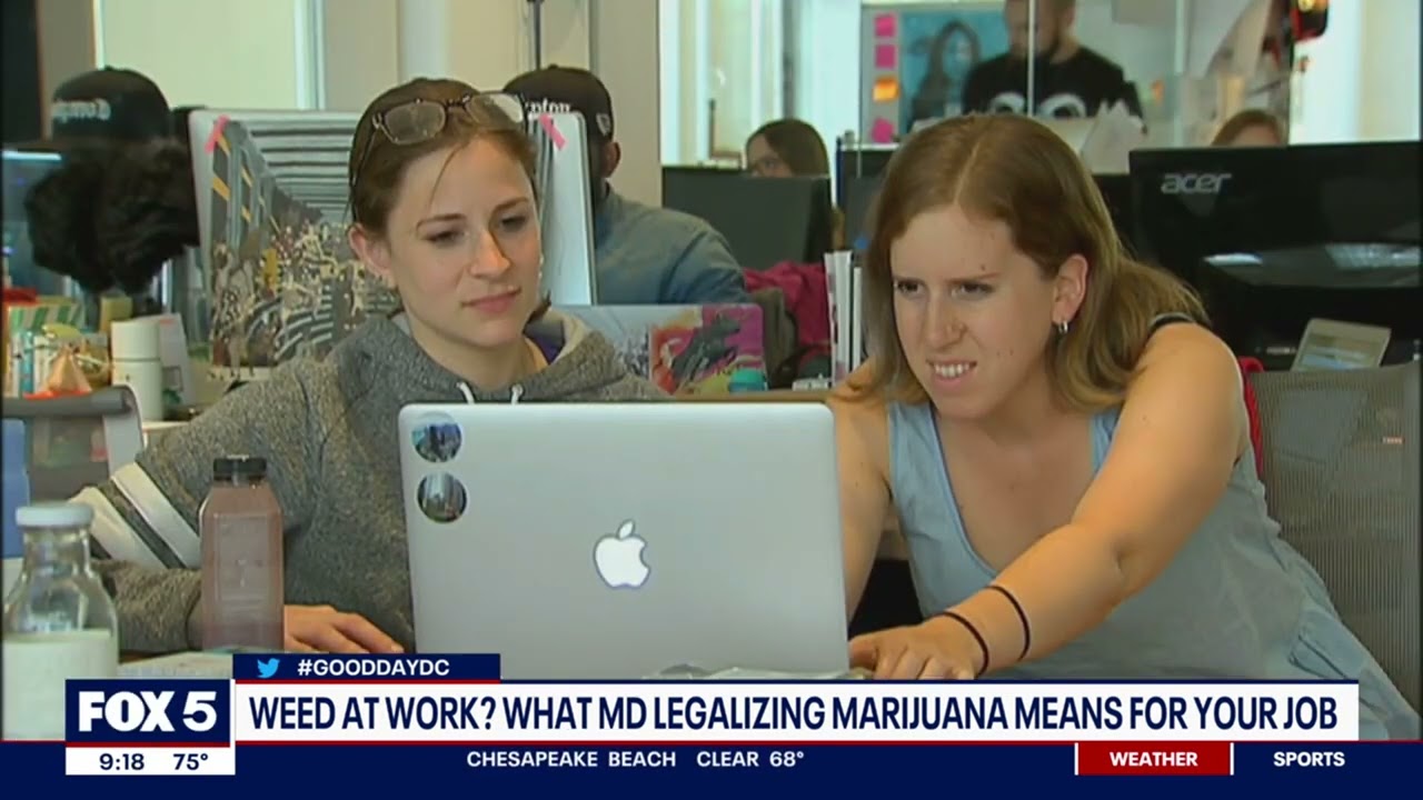 Stein Sperling Employment Lawyer Darla McClure Talking Marijuana in the Workplace